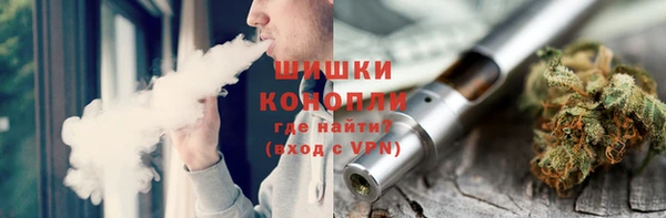 ГАЛЛЮЦИНОГЕННЫЕ ГРИБЫ Балабаново