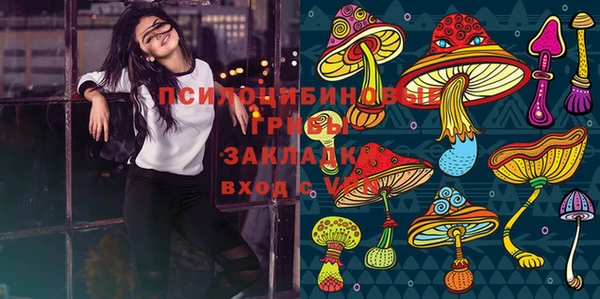 бошки Армянск