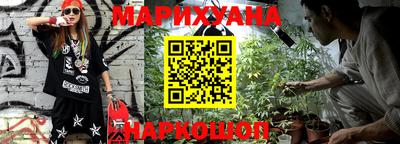 шишки Камышлов