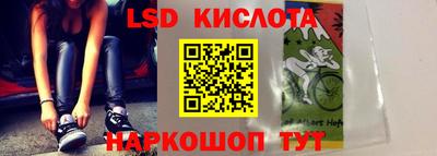 шишки Камышлов