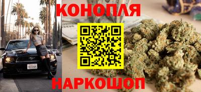 шишки Камышлов