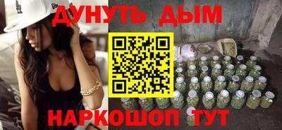 шишки Камышлов