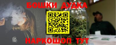 шишки Камышлов
