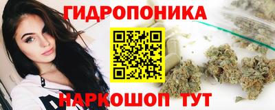 шишки Камышлов