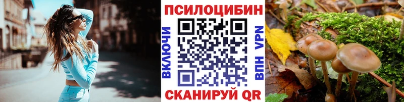 цены   Междуреченск  Галлюциногенные грибы MAGIC MUSHROOMS 