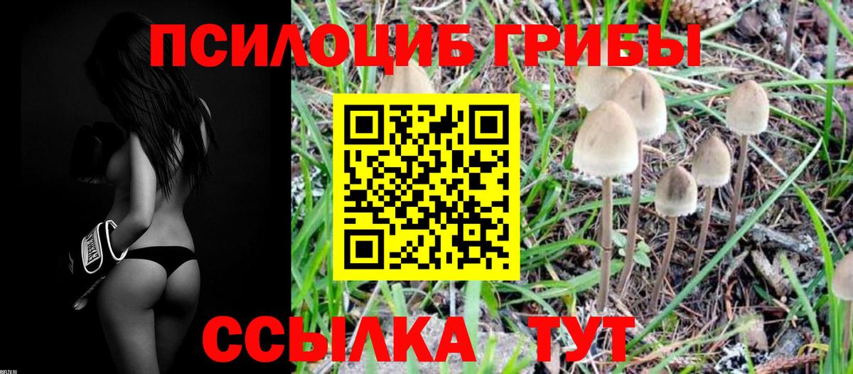 Галлюциногенные грибы Magic Shrooms  Вход с VPN  Междуреченск 